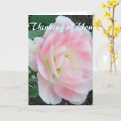 花のかわいらし白いピンクがすぐに良くなる カード (黄色い花)