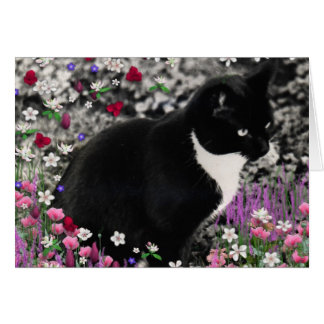 花のそばかすII -タキシード猫