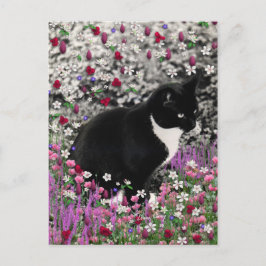花のそばのそば黒　Ｔｕｘｅｄｏ　ｋｉｔｔｙ　ｃａｔ ポストカード