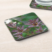 花のような紫のストライプのピンクの白い蘭 コースター (左側)