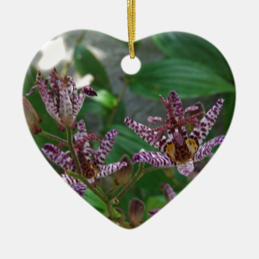 花のような紫のストライプのピンクの白い蘭 セラミックオーナメント (正面)