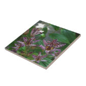 花のような紫のストライプのピンクの白い蘭 タイル (側面)