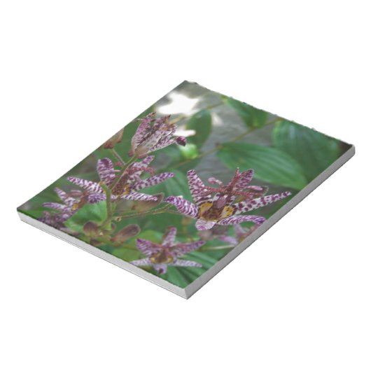 花のような紫のストライプのピンクの白い蘭 ノートパッド (回転)