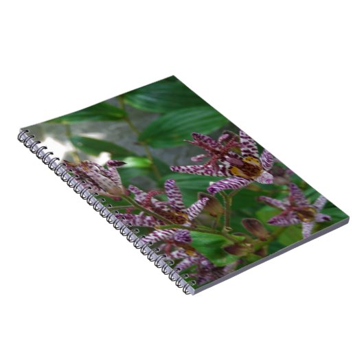 花のような紫のストライプのピンクの白い蘭 ノートブック (右側)