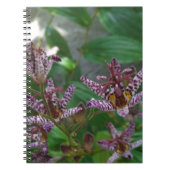 花のような紫のストライプのピンクの白い蘭 ノートブック (正面)