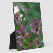 花のような紫のストライプのピンクの白い蘭 フォトプラーク (側面)