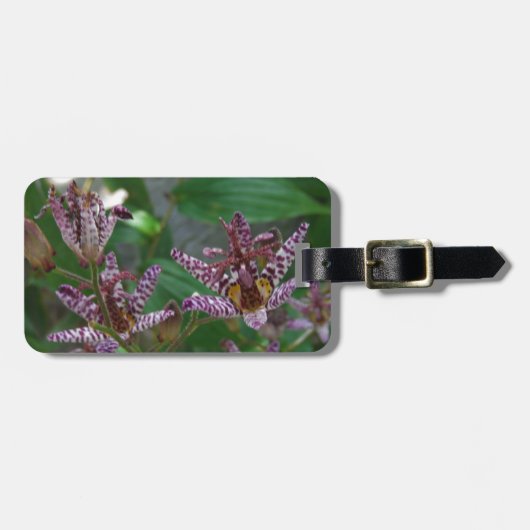 花のような紫のストライプのピンクの白い蘭 ラゲッジタグ (正面横)