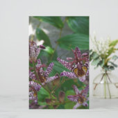 花のような紫のストライプのピンクの白い蘭 便箋 (スタンド正面)