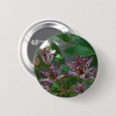 花のような紫のストライプのピンクの白い蘭 缶バッジ (正面&裏面)