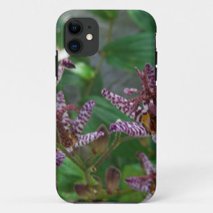 花のような紫のストライプのピンクの白い蘭 iPhone 11 ケース