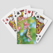 花のアゲハチョウかわいらし蝶