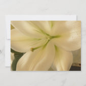 花のウェディング招待状 招待状 (裏面)