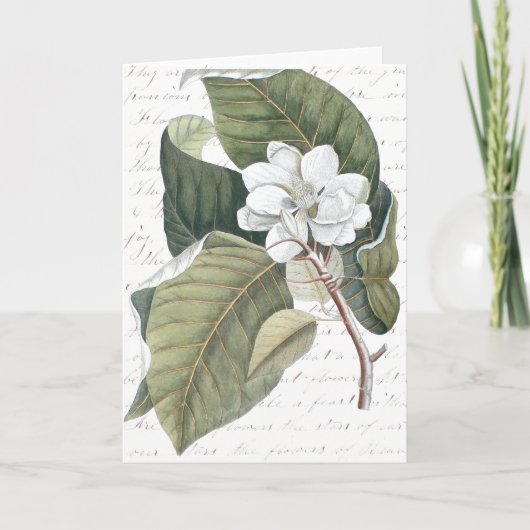 花のエッセイのCatesbyのマグノリアのコラージュに印を付けて下さい カード (正面)