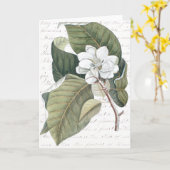 花のエッセイのCatesbyのマグノリアのコラージュに印を付けて下さい カード (黄色い花)