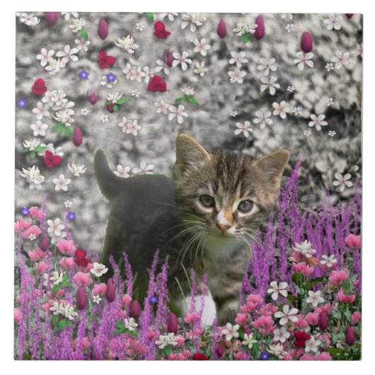 花のエマI -小さい灰色の子猫猫 タイル (正面)