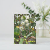 花のオーストラリアのユーカリの木 ポストカード (スタンド正面)
