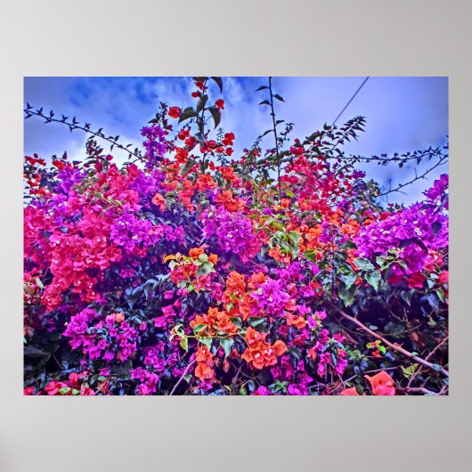 花のカラフルポスター ポスター (正面)