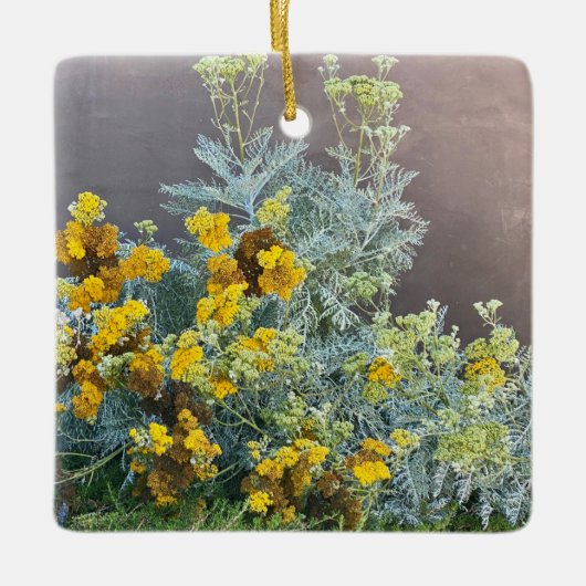 花のカリフォルニア：カタリナ・シルバーレース セラミックオーナメント (正面)