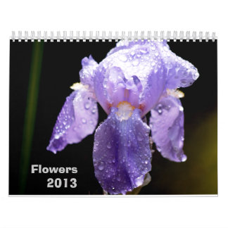 花のカレンダー2013年 カレンダー