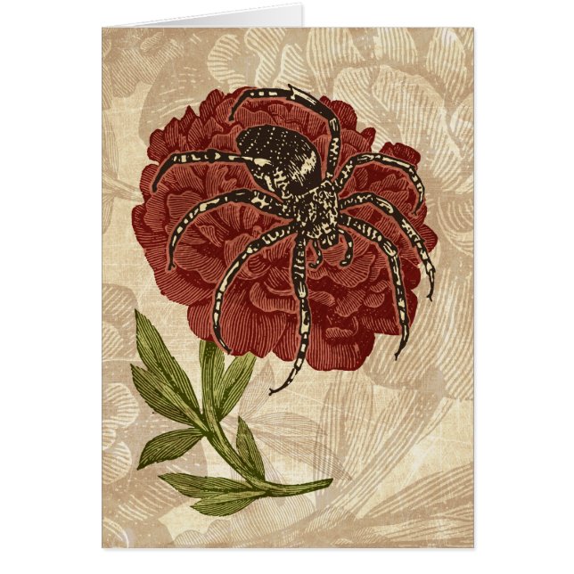 花のクモ (正面)