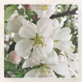 花のクラベリン ガラスコースター