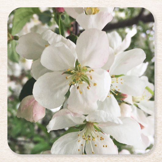 花のクラベリン スクエアペーパーコースター (正面)