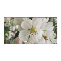 花のクラベリン