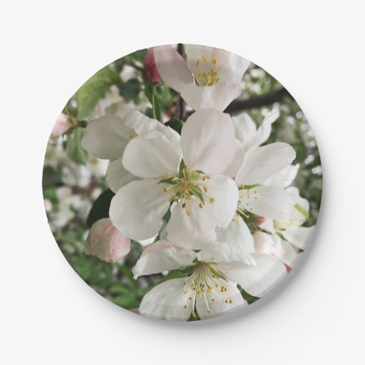 花のクラベリン ペーパープレート (正面)