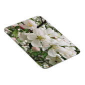 花のクラベリン マグネット (右側)