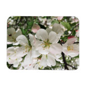 花のクラベリン マグネット (横)