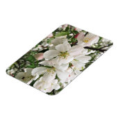 花のクラベリン マグネット (左側)