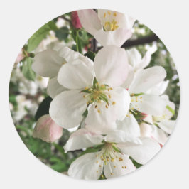 花のクラベリン ラウンドシール