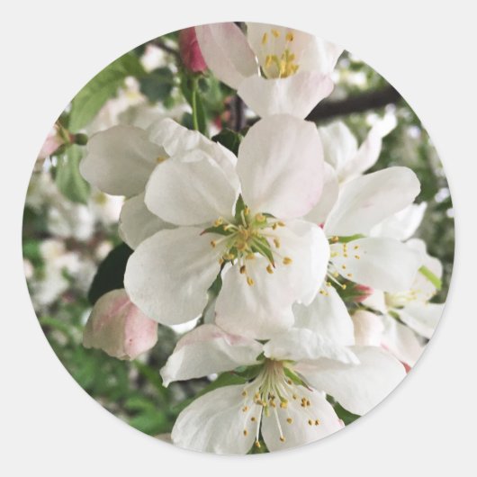 花のクラベリン ラウンドシール (正面)