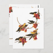 花のクロスバインに黄色のウグイスの鳴鳥 ポストカード (正面/裏面)