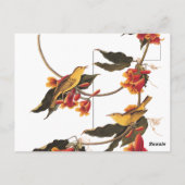 花のクロスバインに黄色のウグイスの鳴鳥 ポストカード (裏面)