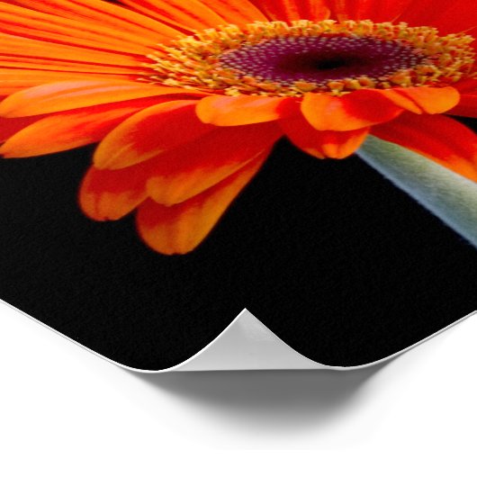 花のクローズアップのポスター ポスター (角)