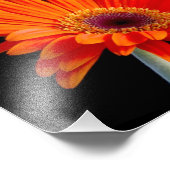 花のクローズアップ写真 フォトプリント            (角)