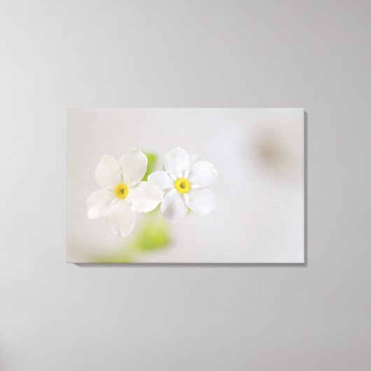 花のクローズアップ2 キャンバスプリント (正面)