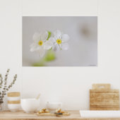 花のクローズアップ2 ポスター (キッチン)