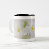 花のクローズアップ ツートーンマグカップ (正面左)