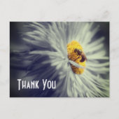 花のクローズアップ ハチ 感謝のポストカード ポストカード (正面)