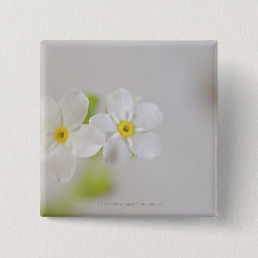 花のクローズアップ 缶バッジ (正面)