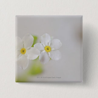 花のクローズアップ 缶バッジ