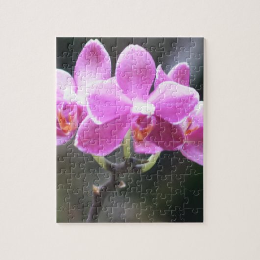 花のコレクション ジグソーパズル (縦)