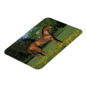 花のサラブレッドの馬 マグネット (左側)
