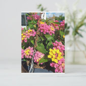 花のサンキューカード サンキューカード (スタンド正面)