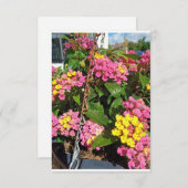 花のサンキューカード サンキューカード (正面/裏面)