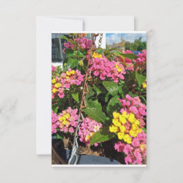 花のサンキューカード サンキューカード