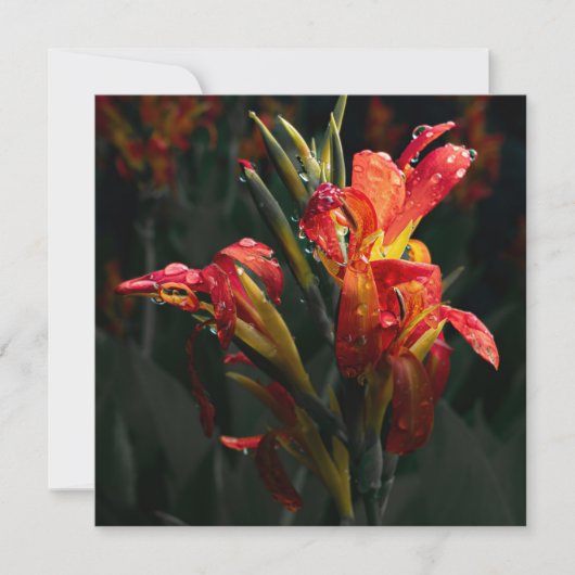 花のサンキューカード サンキューカード (正面)