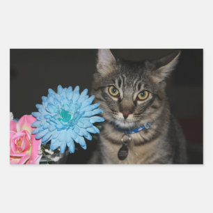 花のシールを貼った猫のポーズ 長方形シール